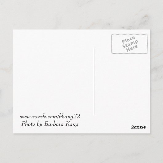 十字架はがきにイエス ポストカード (裏面)