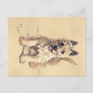 十数犬かそこらのセシル・アルダンのはがき ポストカード