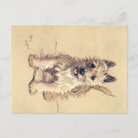 十数犬かそこらのセシル・アルダンのはがき ポストカード (正面)