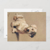 十数犬かそこらのセシル・アルダンのはがき ポストカード (正面/裏面)