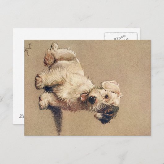 十数犬かそこらのセシル・アルダンのはがき ポストカード (正面/裏面)