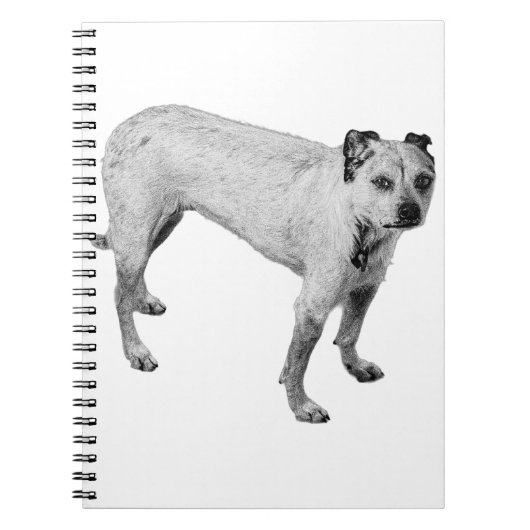 十月の腕時計 ノートブック (正面)