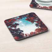 十月空 コースター (左側)