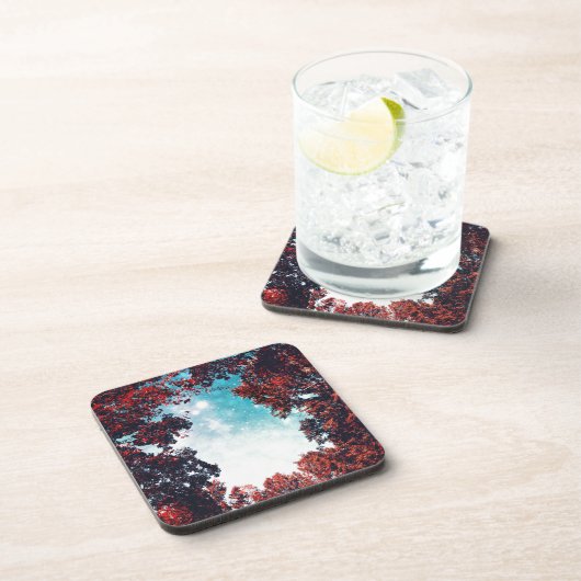 十月空 コースター (右側)