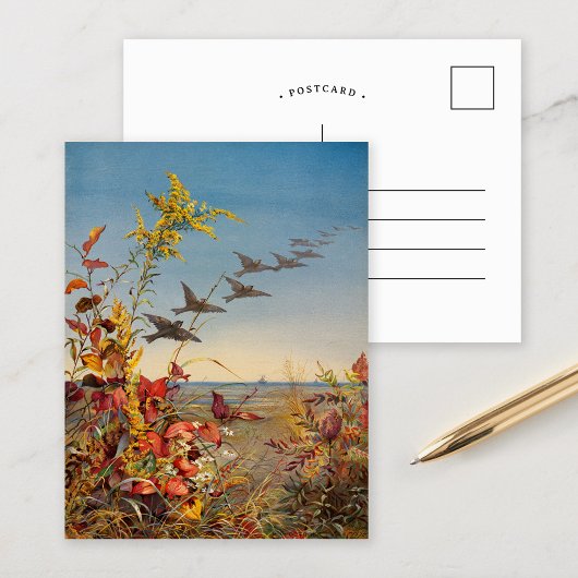十月 | フィデリアブリッジ ポストカード