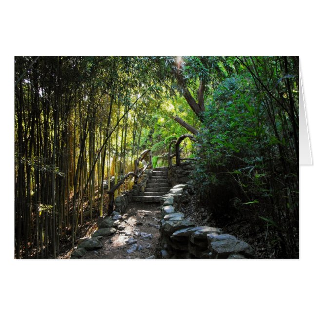 千マイルの旅行 (正面横)