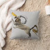 千目良 クッション (ブランケット)