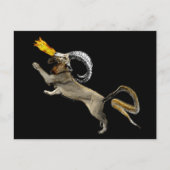 千目良 ポストカード (正面)