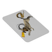 千目良 マグネット (右側)