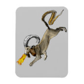 千目良 マグネット (縦)