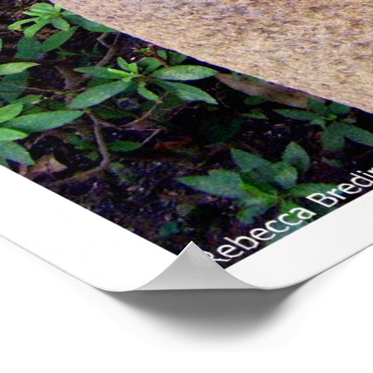 千葉モンク ポスター (角)