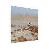 千鳥と海藻 メタルプリント (アングル)