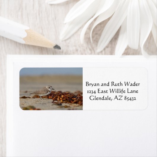 千鳥と海藻 ラベル (インサイチュ)