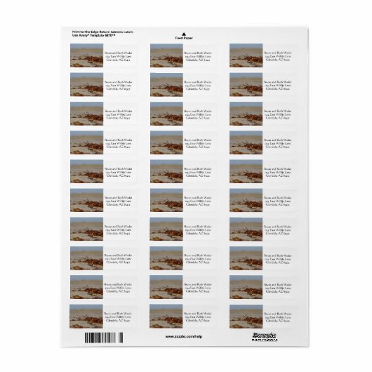 千鳥と海藻 ラベル (フルシート)