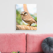 午前中のフクロウの斑点。 キャンバスプリント (インサイチュ (リビング))