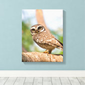 午前中のフクロウの斑点。 キャンバスプリント (インサイチュ (ウッドフロア))