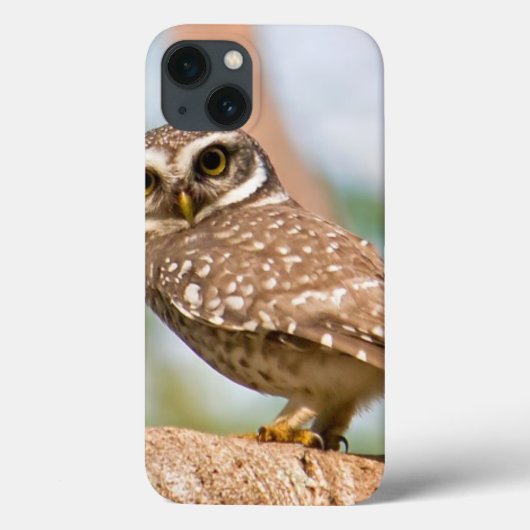 午前中のフクロウの斑点。 Case-Mate iPhoneケース (裏面)