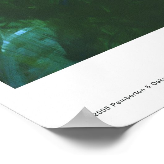 午前中の発見 ポスター (角)