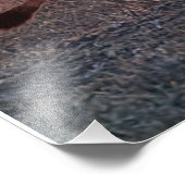 午前中の雌ライオン フォトプリント            (角)