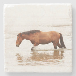 午前中は馬を求めて泳ぐ ストーンコースター