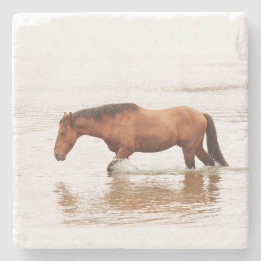 午前中は馬を求めて泳ぐ ストーンコースター (正面)