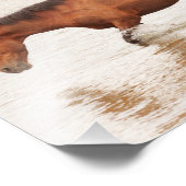 午前中は馬を求めて泳ぐ フォトプリント            (角)