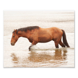 午前中は馬を求めて泳ぐ フォトプリント           