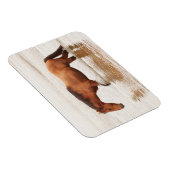 午前中は馬を求めて泳ぐ マグネット (右側)