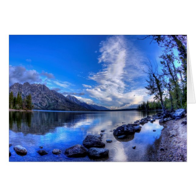 午前中ジェニー (正面横)