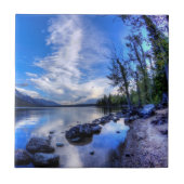 午前中ジェニー タイル (正面)