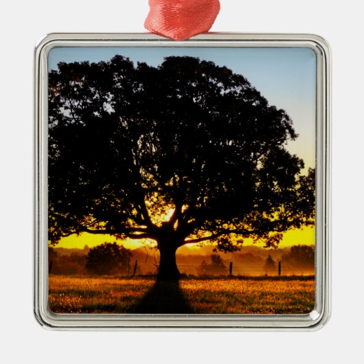 午前中木 メタルオーナメント (正面)