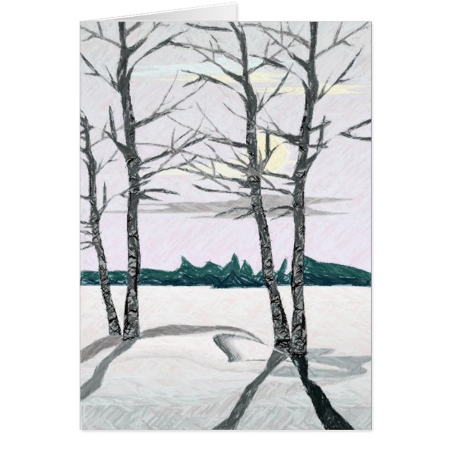 午前中樺の木 (正面)