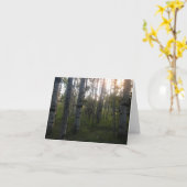 午前中樺の木 カード (黄色い花)