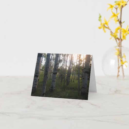 午前中樺の木 カード (黄色い花)