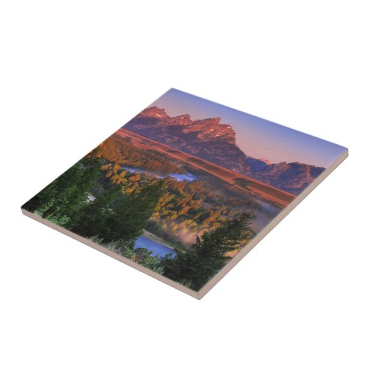 午前中眺め タイル (側面)