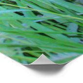 午前中、プリント ポスター (角)