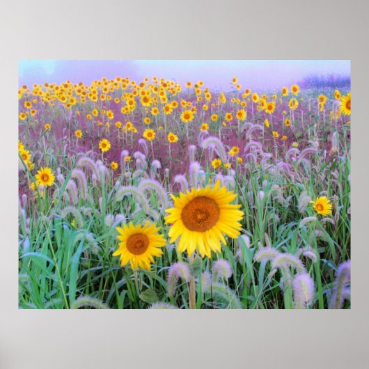 午前中、プリント ポスター (正面)