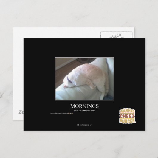 午前中 ポストカード (正面/裏面)