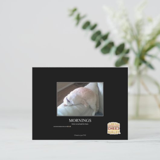 午前中 ポストカード (スタンド正面)