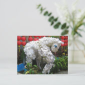 午年 | 春節馬 ...花中国の乾草 シーズンポストカード (スタンド正面)