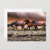 午後のおもしろい ポストカード (正面/裏面)