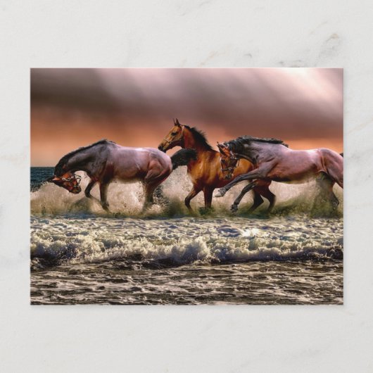 午後のおもしろい ポストカード (正面)