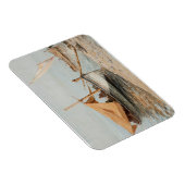 午後のツーロンジョバンニバティスタカスタスタグネト マグネット (右側)