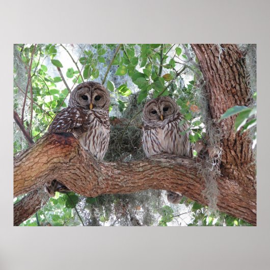 午後の休憩 ポスター (正面)