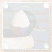 午後の太陽の中で美しいビュッフルヘッドアヒル ガラスコースター (裏面)