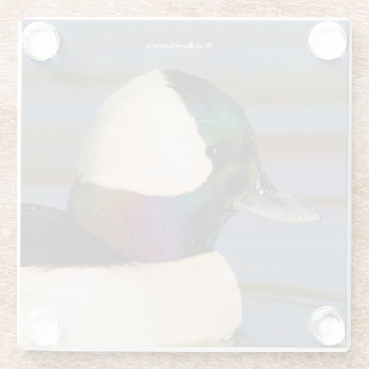 午後の太陽の中で美しいビュッフルヘッドアヒル ガラスコースター (裏面)