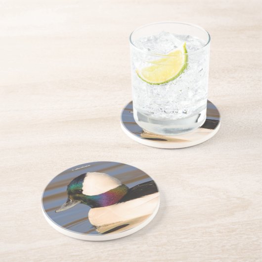 午後の太陽の中で美しいビュッフルヘッドアヒル コースター (側面)