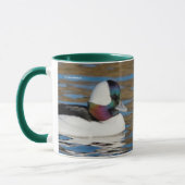 午後の太陽の中で雄のバッファヘッドの鴨 マグカップ (左)