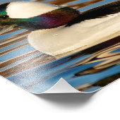 午後の太陽の男性のバッファヘッド フォトプリント            (角)