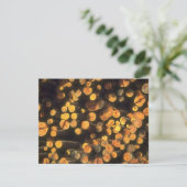 午後の太陽は自動記録器の退職の招待状を記録します 招待状 (スタンド正面)